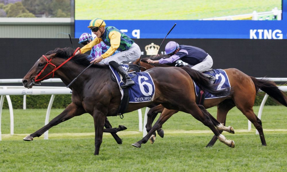 无论是强队 无论是强队