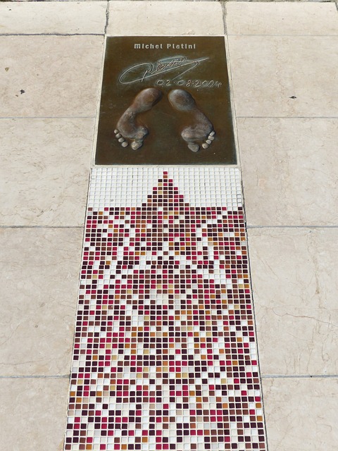 这支团队使 这支团队使