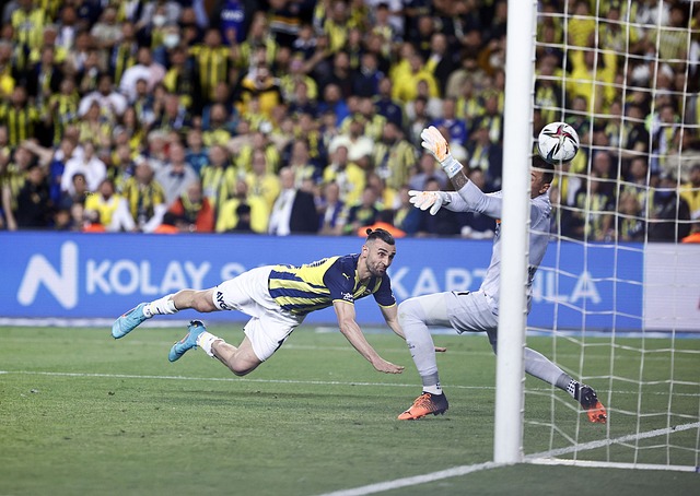 备更强的竞 备更强的竞