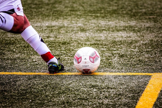 提供了更多 提供了更多